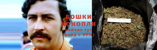 первитин Лагань