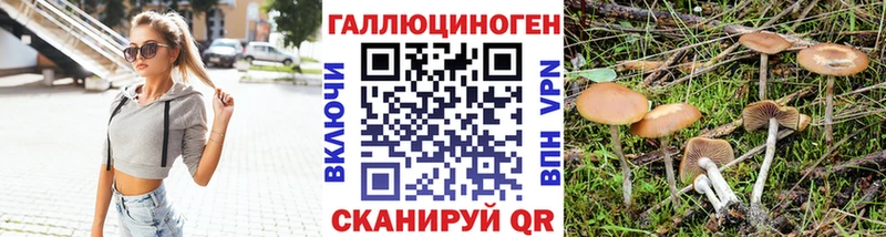 Псилоцибиновые грибы Psilocybe Новое Девяткино