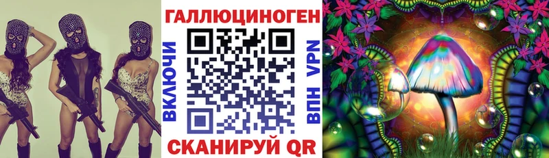Псилоцибиновые грибы Magic Shrooms  кракен маркетплейс  Новое Девяткино  где купить наркоту 