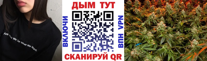 Бошки марихуана план  купить наркотик  Новое Девяткино 